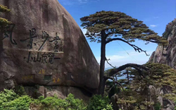 ［徐州到黄山旅游团］高铁往返黄山三日游线路及价格
