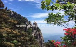 ［上海到黄山旅游团］高铁往返黄山三日游线路及价格-「定制旅行团-当地参团」