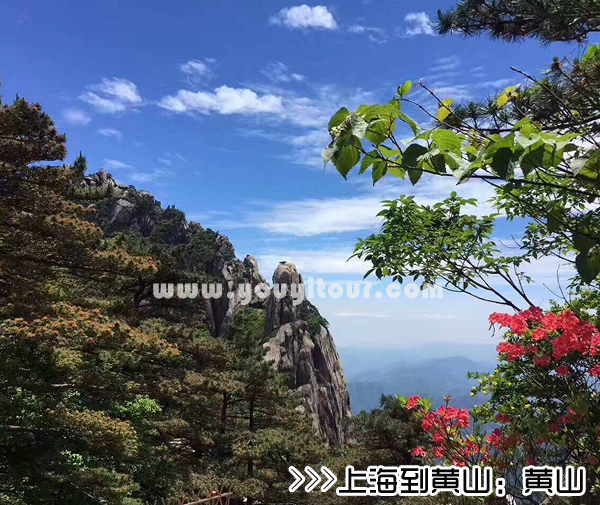 ［上海到黄山旅游团］高铁往返黄山三日游线路及价格-「定制旅行团-当地参团」