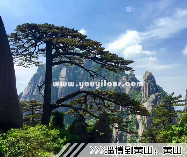 ［淄博到黄山旅游团］高铁往返黄山三日游线路及价格