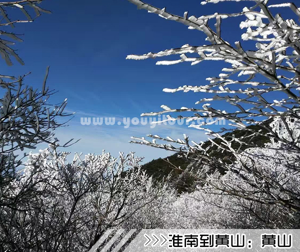 ［淮南到黄山旅游团］高铁往返黄山三日游线路及价格