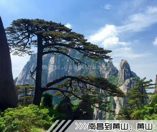 ［南昌到黄山旅游团］高铁往返黄山四日游线路及价格