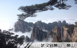 ［武汉到黄山旅游团］高铁往返黄山三日游线路及价格「定制旅行团-当地参团」