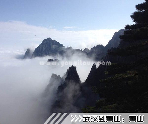 ［武汉到黄山旅游团］高铁往返黄山三日游线路及价格「定制旅行团-当地参团」