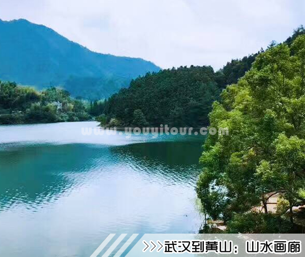 ［武汉到黄山旅游团］高铁往返黄山三日游线路及价格「定制旅行团-当地参团」