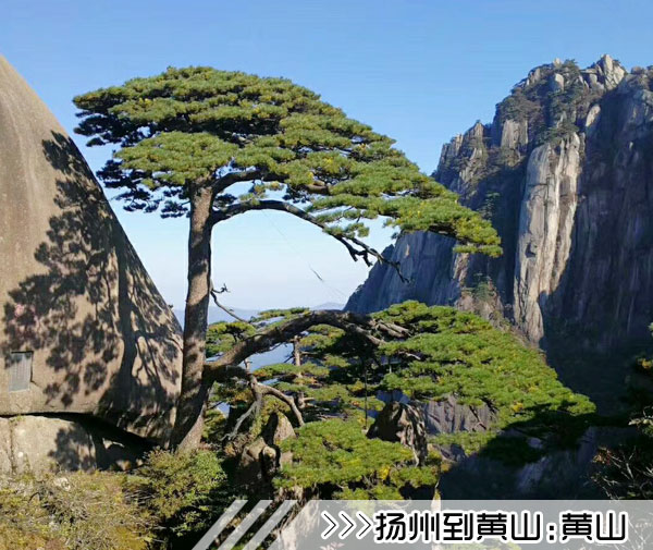 ［扬州到黄山旅游团］列车往返黄山三日游线路及价格