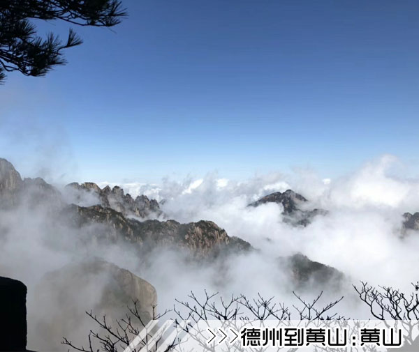 ［德州到黄山旅游团］高铁往返黄山三日游线路及价格