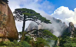 黄山门票老年人的优惠政策