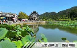 ［淮北到黄山旅游团］高铁往返黄山三日游路线及价格