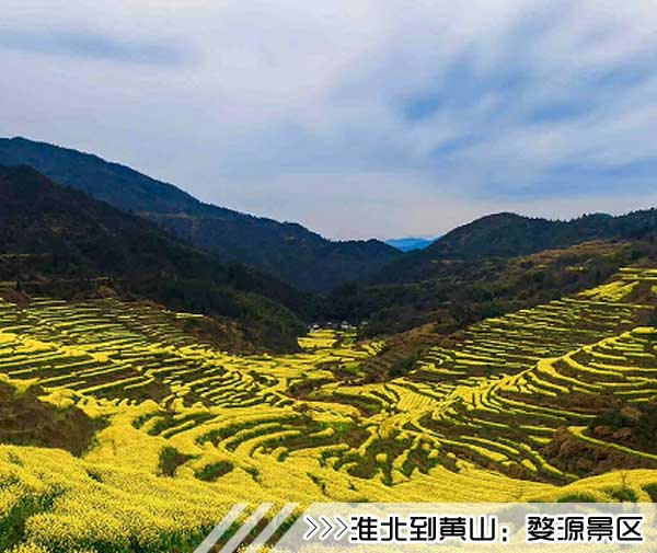 ［淮北到黄山旅游团］高铁往返黄山三日游路线及价格