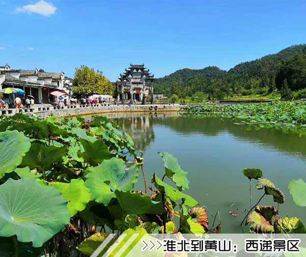 ［淮北到黄山旅游团］高铁往返黄山三日游路线及价格