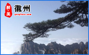 黄山特产-黄山毛峰-黄山旅行社