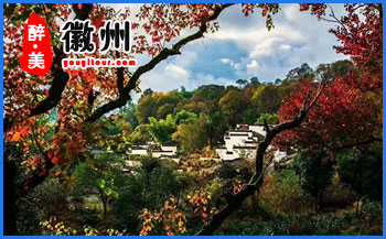 黄山特产-歙县珠兰花茶-黄山地接旅行社