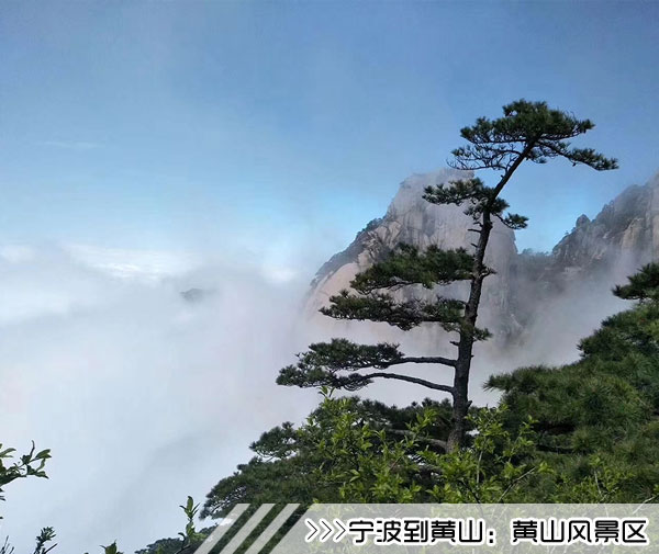 ［宁波到黄山旅游团］高铁黄山三日游线路及价格