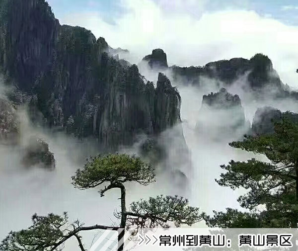 ［常州到黄山旅游团］高铁往返黄山三日游路线及价格
