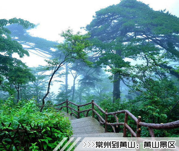 ［常州到黄山旅游团］高铁往返黄山三日游路线及价格