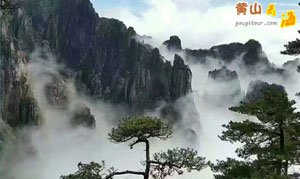 黄山四绝分别是什么？