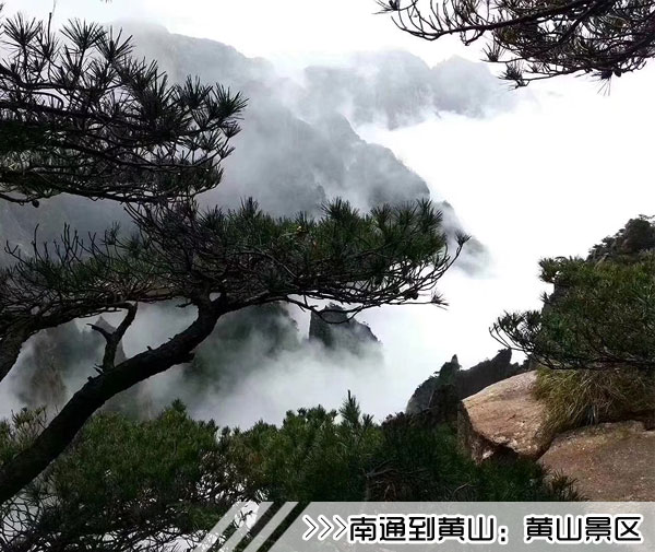 ［南通到黄山旅游团］高铁往返黄山三日游路线及价格