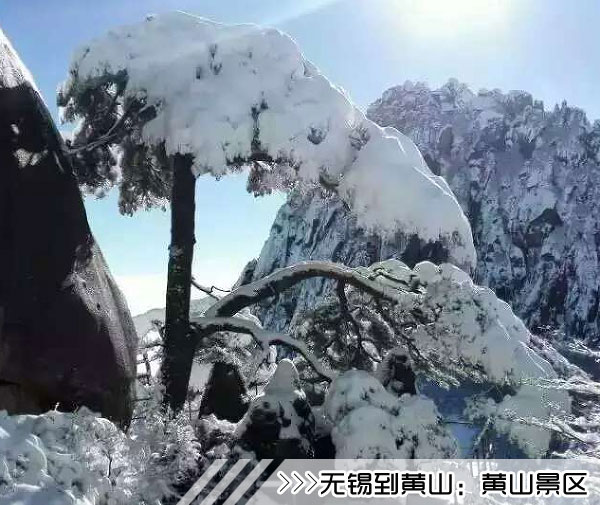 ［无锡到黄山旅游团］高铁往返黄山三日游线路及价格