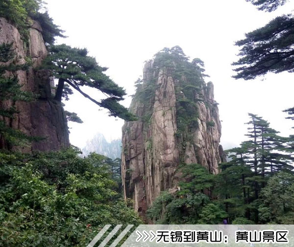 ［无锡到黄山旅游团］高铁往返黄山三日游线路及价格
