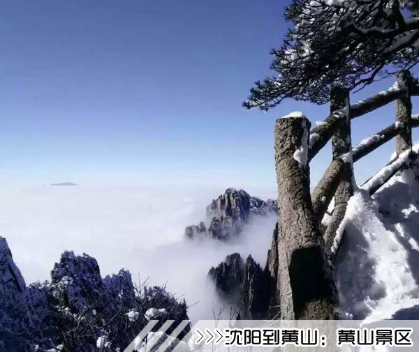［沈阳到黄山旅游团］高铁往返黄山三日游线路及价格