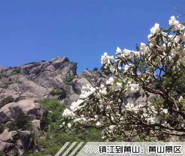 ［镇江到黄山旅游团］高铁往返黄山三日游线路及价格