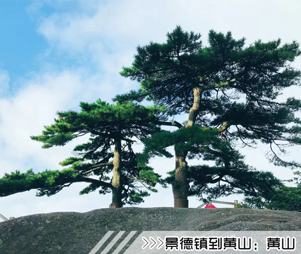 ［景德镇到黄山旅游团］高铁往返黄山三日游线路及价格