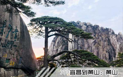 ［宜昌到黄山旅游团］高铁往返黄山三日游线路及价格