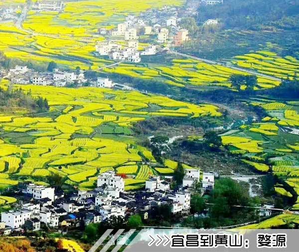 ［宜昌到黄山旅游团］高铁往返黄山三日游线路及价格