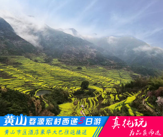 黄山+婺源+宏村+西递四日游线路-「春季优选旅游团、当地参团」