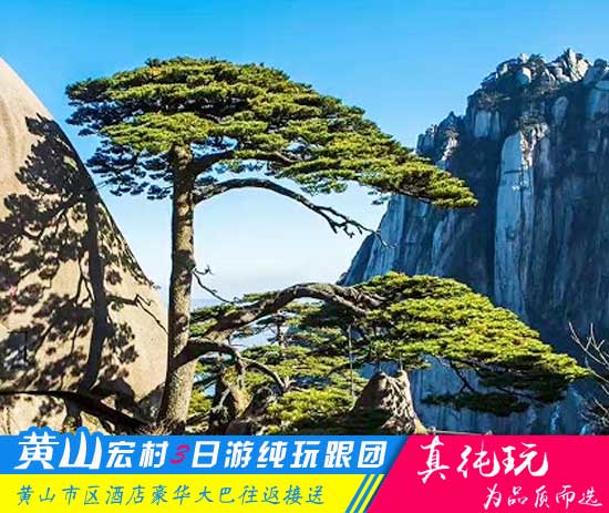 黄山宏村三日游线路-「经典旅行团、当地参团」