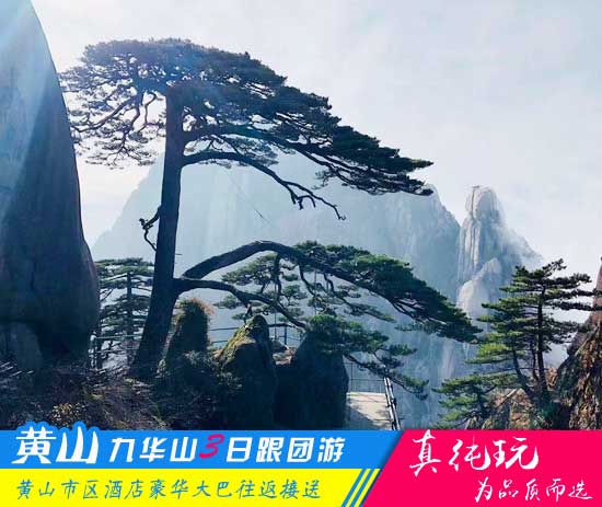 黄山九华山三日游线路-「皖南名山优选旅行团、当地参团」