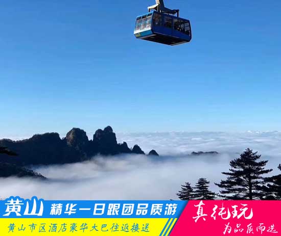 黄山精华一日游线路-「精品旅游团、当地参团必玩」