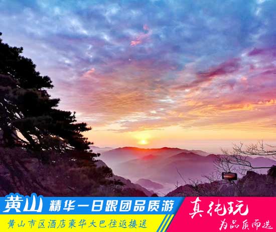 黄山精华一日游线路-「精品旅游团、当地参团必玩」