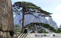 ［烟台到黄山旅游团］高铁往返黄山三日游路线及价格