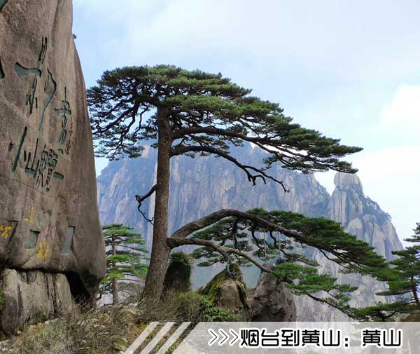 ［烟台到黄山旅游团］高铁往返黄山三日游路线及价格