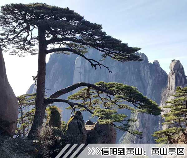 ［信阳到黄山旅游团］高铁往返黄山三日游线路及价格