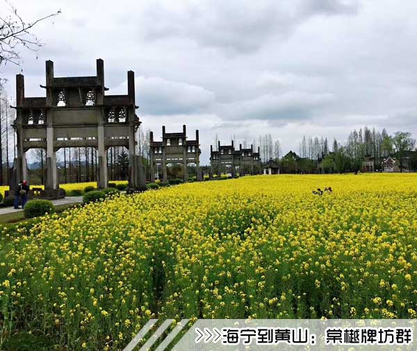 ［海宁到黄山旅游团］高铁往返黄山三日游路线及价格