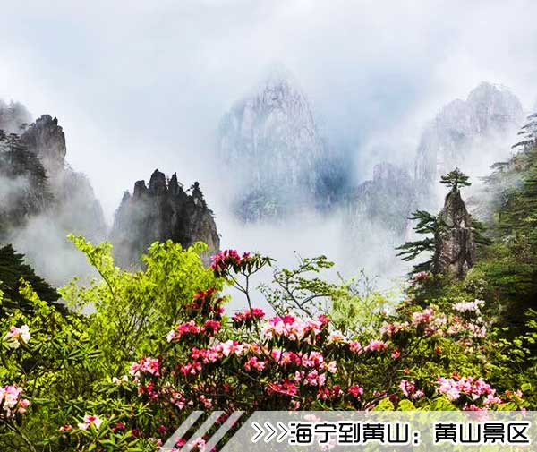 ［海宁到黄山旅游团］高铁往返黄山三日游路线及价格