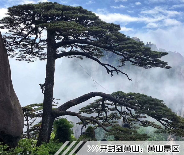 ［黄石到黄山旅游团］高铁往返黄山三日游路线及价格