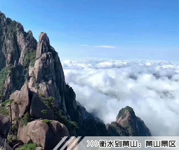 ［衡水到黄山旅游团］高铁往返黄山三日游路线及价格