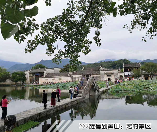 ［旌德到黄山旅游团］高铁往返黄山二日游线路及价格