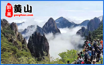黄山特产-徽墨酥-黄山旅行社