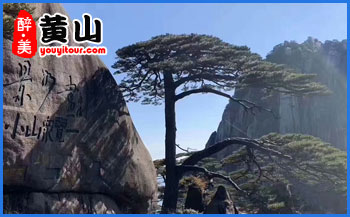 黄山特产-九制黄精-黄山地接社