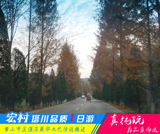 宏村、塔川一日游路线_黄山秋季旅游团