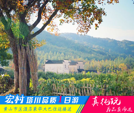 宏村、塔川一日游路线_黄山秋季旅游团
