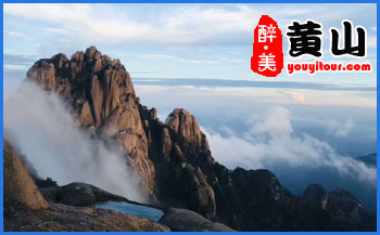 黄山地接旅行社推荐黄山特产-里仁香榧