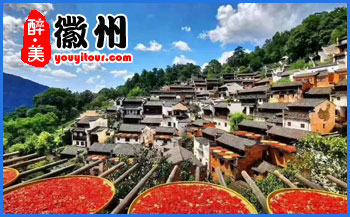 黄山特产_徽墨-黄山地接旅行社