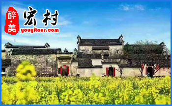 2021年黄山油菜花期预报，油菜花较佳观赏时间来了