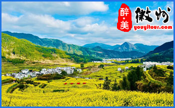 2021年黄山市三区四县「油菜花」较佳观赏地点的初花期、盛花期一览表